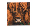 Crystal Art Mounted Kit: Highland Cow Medium Size (11.8" x 11.8")