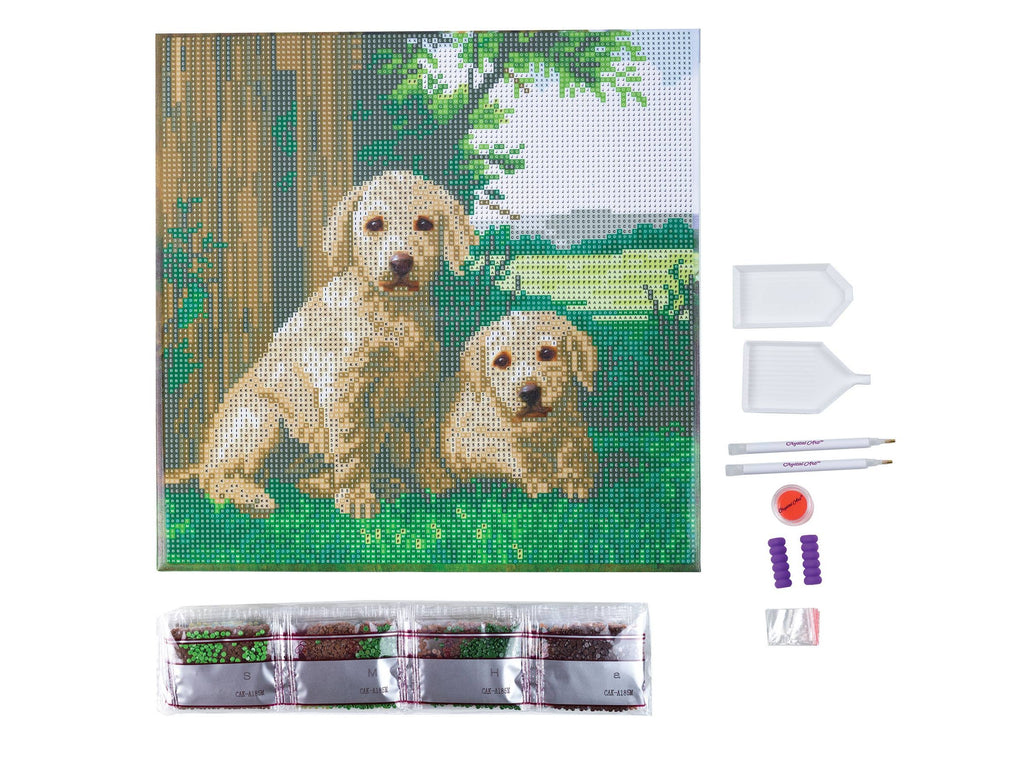 Medium (11.8" x 11.8") Crystal Art Kit - Next to the Fence