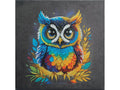 Medium (11.8" x 11.8") Crystal Art Kit - Owl