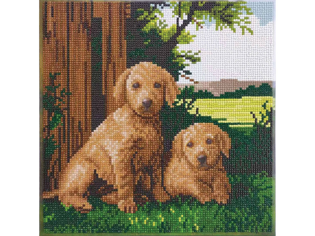 Medium (11.8" x 11.8") Crystal Art Kit - Next to the Fence