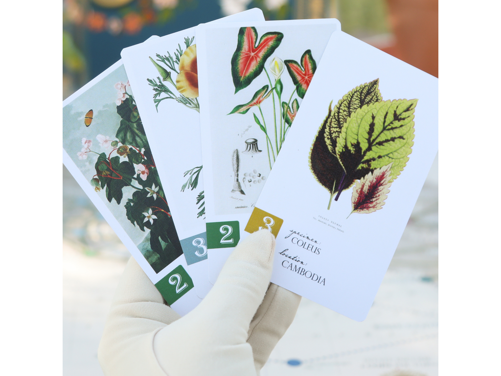 Botany (2024)