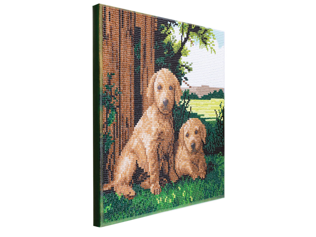 Medium (11.8" x 11.8") Crystal Art Kit - Next to the Fence